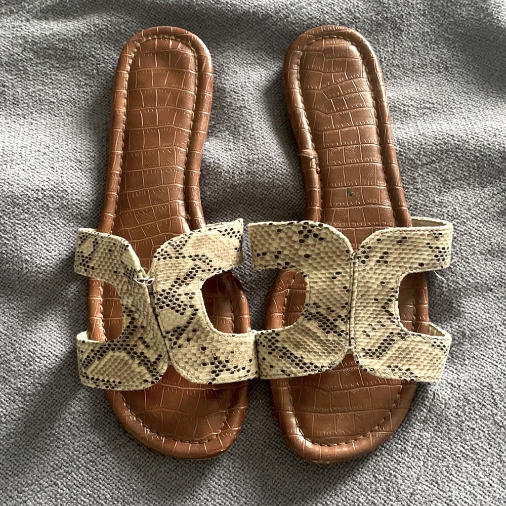 Report Snakeprint Ofelia slides